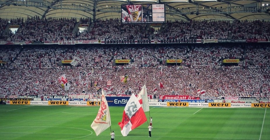 vfb.jpg