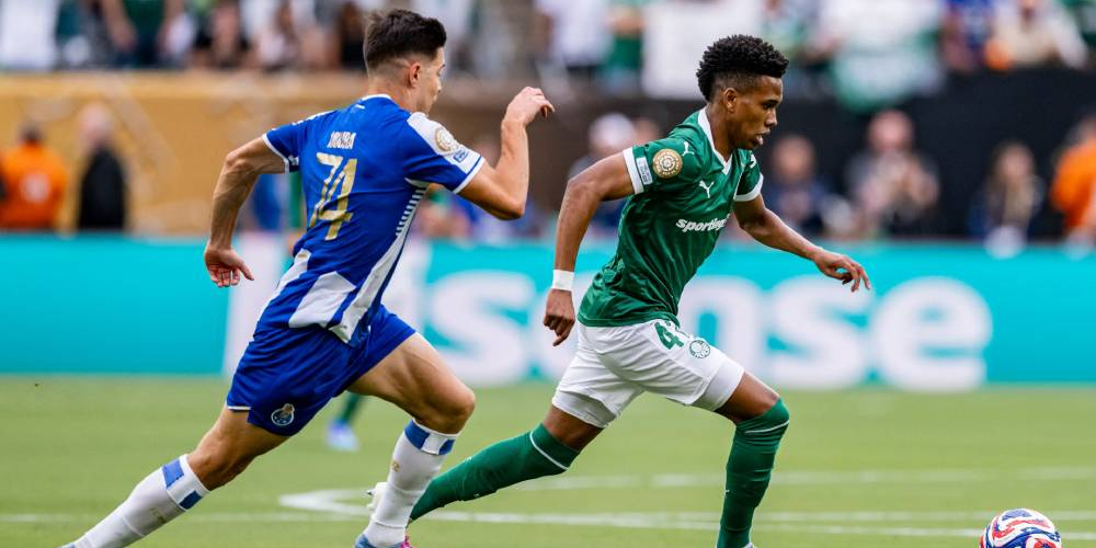 palmeiras-botafogko-stichima-se-exofreniki-apodosi-to-gkol-tou-estevao.jpg