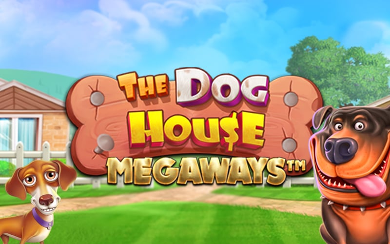 stoiximan_casino_the_dogs_house_megaways_800x500-copy.jpg