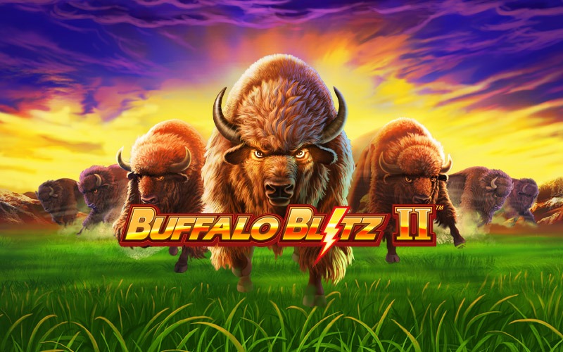 Buffalo-Blitz-II.jpeg