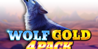 Wolf Gold 4 Pack