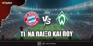 Bayern- Verder  fox.jpg