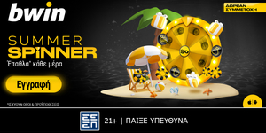 bwin summer spinner.jpg