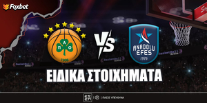 fox-eidika-stoiximata_pao-efes.jpg