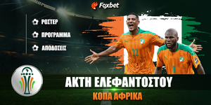 foxbet-akti-elefantostou-copa-africa.jpg