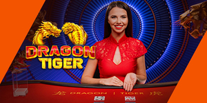 11.3 vistabet dragon tiger fbet.jpg