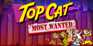 topCat.jpg