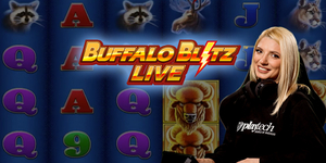 BuffaloBlitzLive.jpg