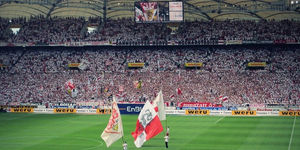 vfb.jpg