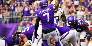 Minnesota Vikings.jpg