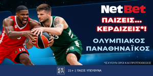 netbet ΔΤ 6-3.png