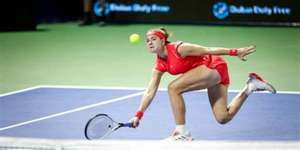 OIP - 2026-02-13T224856.638.jpeg