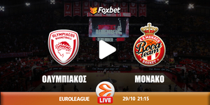 peristeri- mpno  fox copy.jpg