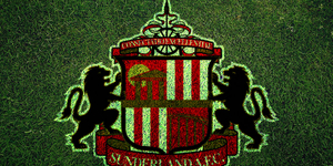 sunderland_afc_grass_logo_by_w00den_sp00n-d6yc45o.jpg