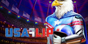USA Flip