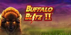 Buffalo Blitz 2