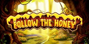 Follow The Honey