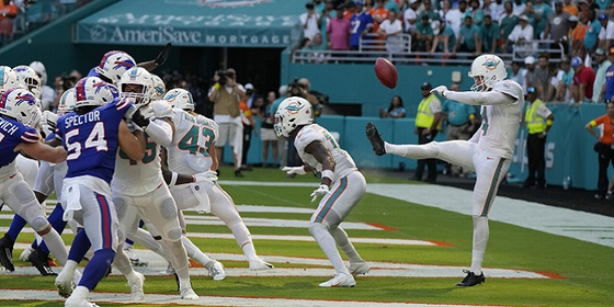 Miami Dolphins.jpg