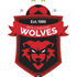 Wollongong Wolves