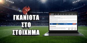 ganiota 1200 x 600 copy.jpg