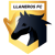 llaneros_fc.png