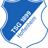 Logo_TSG_Hoffenheim.svg.png