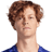 siner.png