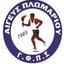 Αιγέας Πλωμαρίου