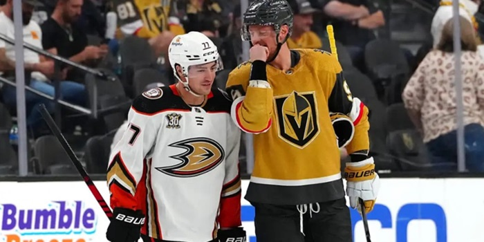 Anaheim Ducks_Vegas Golden Knights.jpg
