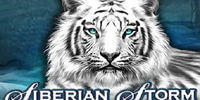 Siberian Storm