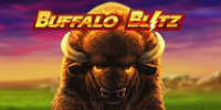 Buffalo Blitz